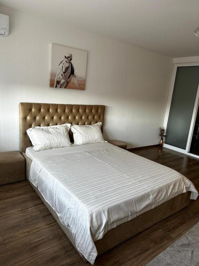 Anastasia Apartament Appartement Oradea Buitenkant foto